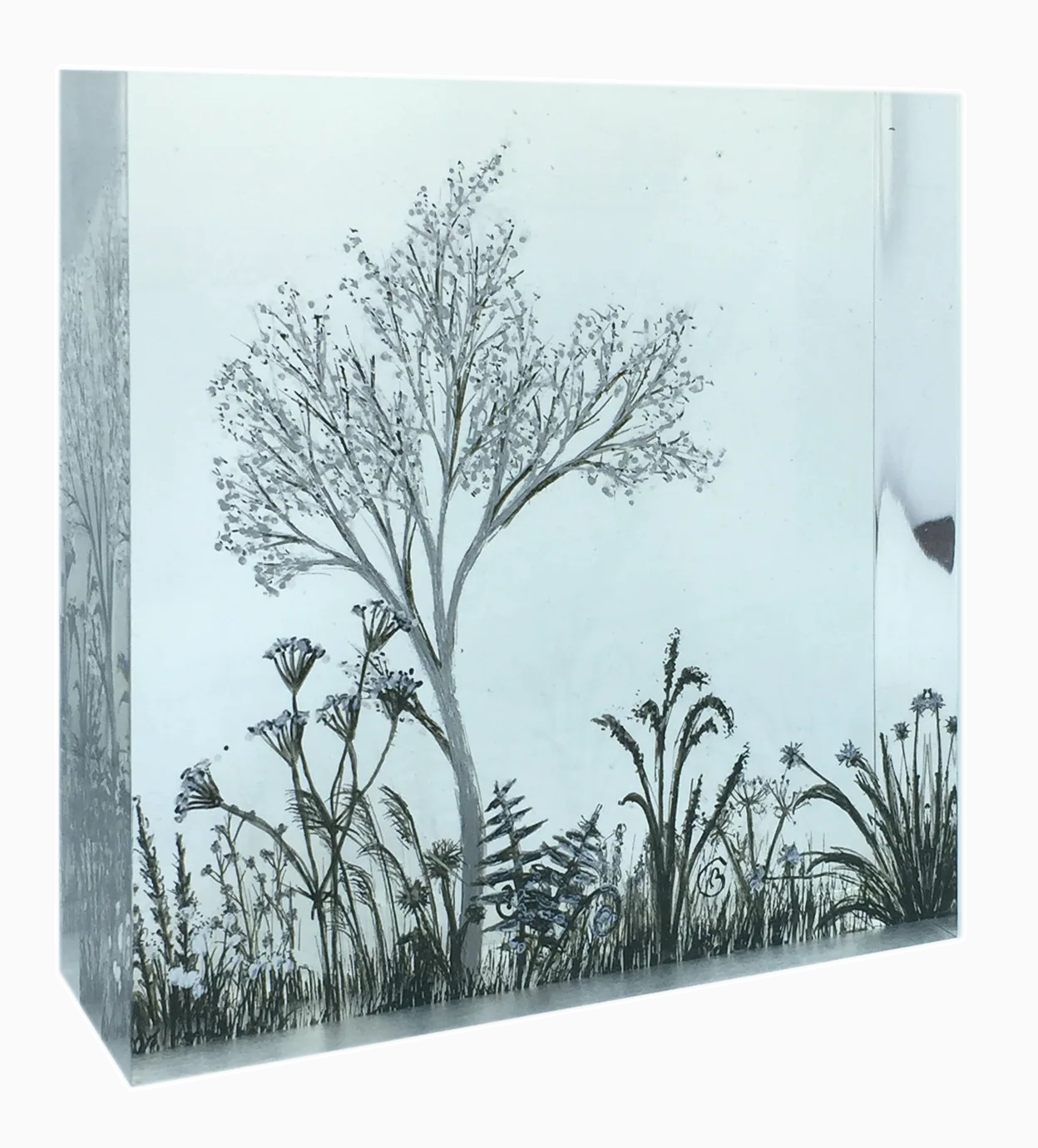 Les arbres imaginaires