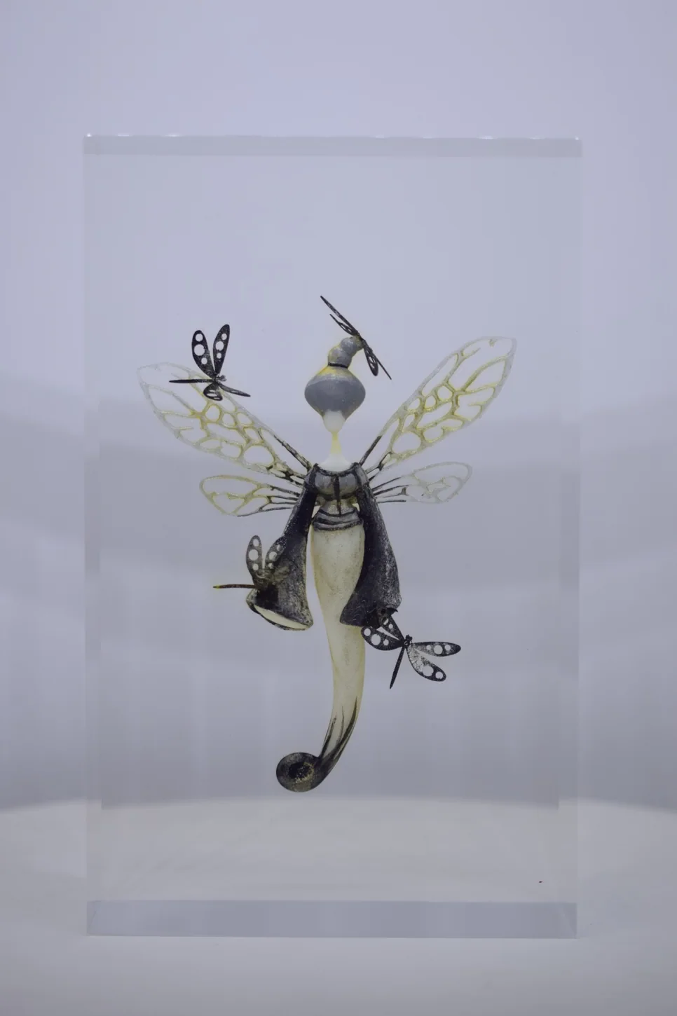 Khisha  -  Odonates