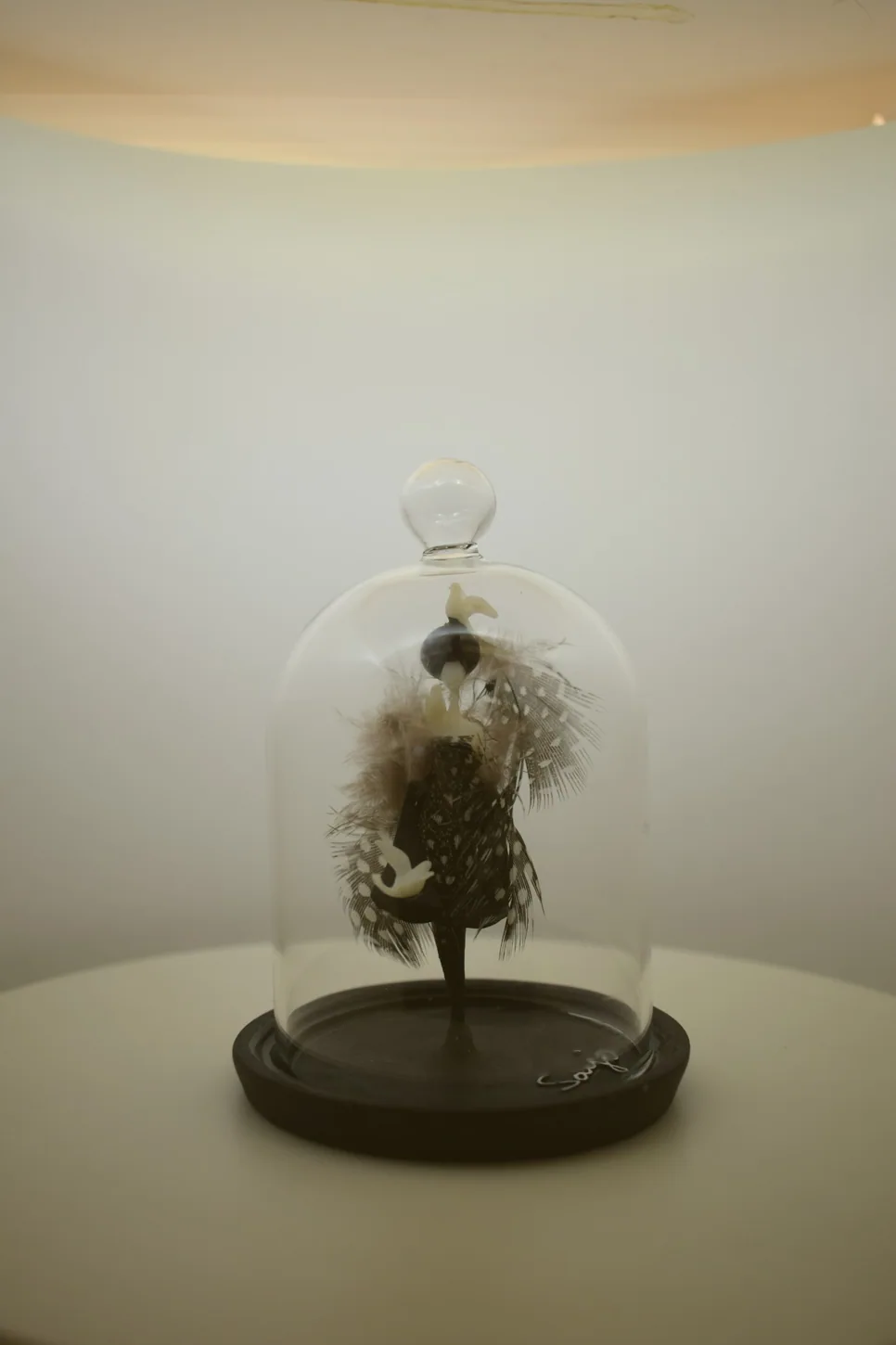 La Pie  -  Sous cloche